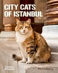 City Cats of Istanbul