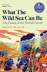 What the Wild Sea Can Be