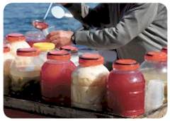 Turşu - Uğur Uğurlu