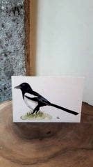 Kartpostal – Saksağan