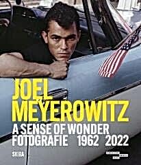 Joel Meyerowitz