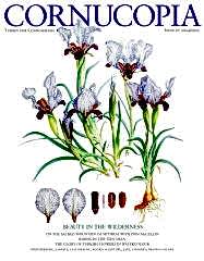 Cornucopia Issue 67, 2024/2025