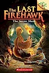Secret Maze, Last Firehawk 10